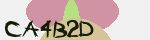 Mã bảo mật